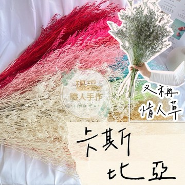 【璟采職人】卡斯比亞 染色卡斯比亞 情人草 花材 浮游花 乾燥花 不凋花 永生花 仿真花 乾燥花花材 捧花 拍照道具