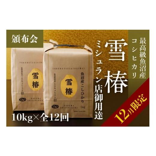 ふるさと納税 新潟県 津南町 [頒布会] 雪椿 10kg×全12ヶ月分 最高級魚沼産コシヒカリ