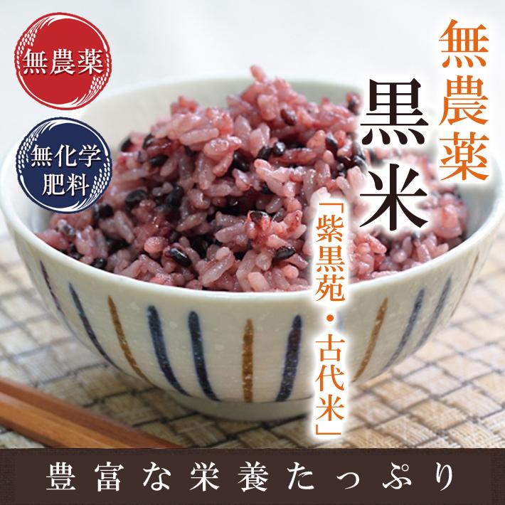 黒米（紫黒苑・古代米）1kg 福井県令和5年産 無農薬・無化学肥料栽培