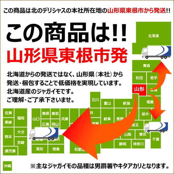 北海道産 訳あり じゃがいも 5kg (JA共撰 サイズお任せ 品種お任せ) ジャガイモ 新じゃが 馬鈴薯 野菜 北海道 グルメ 送料無料 お取り寄せ