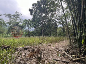 大溪丙種建地目｜桃園市大溪區草嶺段