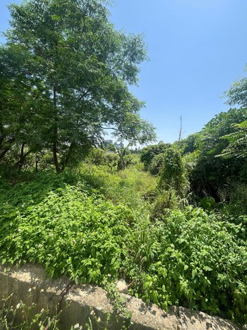 （獨家）專任竹南大埔｜大矽谷計畫｜農地釋出｜苗栗縣竹南鎮大埔