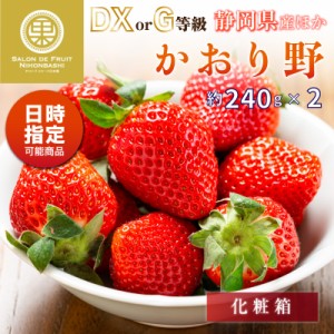 [予約 2024年2月11日-2月14日の納品] バレンタインデー かおり野 約240g×2 DX 静岡県産ほか 上級品 いちご