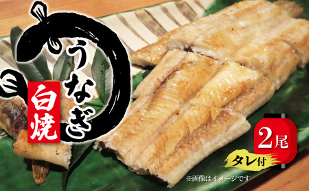 うなぎ 白焼き 150g × 2尾 うなぎ 計300g うなぎ タレ付 鰻 冷凍 鰻 うなぎ 自家製 うなぎ 丑の日 うなぎ 鰻 ギフト うなぎ 鰻 お中元 うなぎ 鰻 お歳暮 うなぎ 鰻 滋賀県 竜王町 吉味)