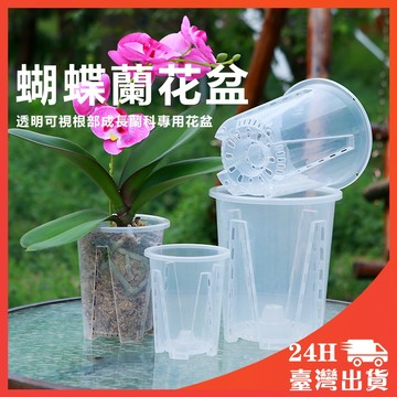 加厚材質 透明高腳控根盆 空氣柱控根盆 透明高腳盆 高腳控根盆 控根盆 蘭花盆 透氣控根盆 花盆 蘭花盆 塑料透气防烂
