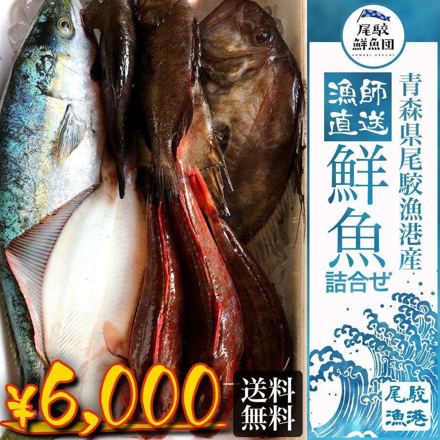 朝獲れ 鮮魚 セット 青森 尾駮漁港 6000円 贈り物 お歳暮 魚詰合せ 送料無料