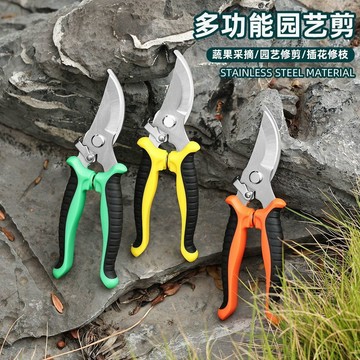 🔥臺灣出貨🔥園藝專用剪子枝條剪修枝剪省力修剪樹枝果樹園林花卉造型花藝剪子