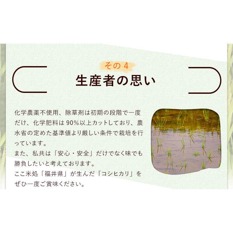 新米入荷 減農薬・無化学肥料栽培 コシヒカリ「福の舞」3kg 送料無料 令和5年福井県産