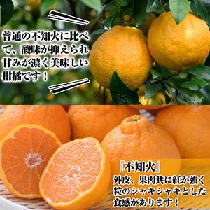 ふるさと納税 akune-4-58＜訳あり・2024年4月上旬以降発送予定＞期間・数量限定！無加温ハウス熟成不知火(5kg・ご家庭用)【桐野柑橘株式会社.. 鹿児島県阿久根市