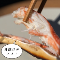 ボイル 本ずわいがに 1.5kg 6肩 (500g × 3) カジマ ずわい蟹 ズワイガニ ずわいがに かに カニ 蟹