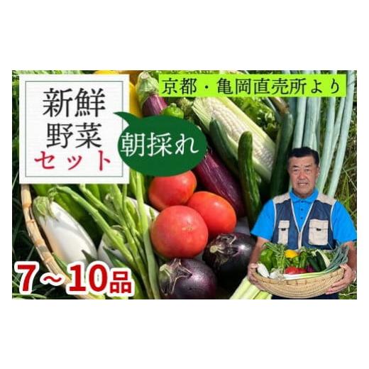 ふるさと納税 京都府 亀岡市 訳あり 新鮮 季節の野菜 セット 7〜10品目農家直送 朝採れ 亀岡 佐伯の里 京都丹波産 家計応援 生活応援