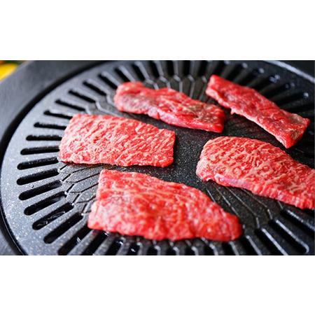 ふるさと納税 飛騨牛　モモ　焼肉用　900g 岐阜県養老町