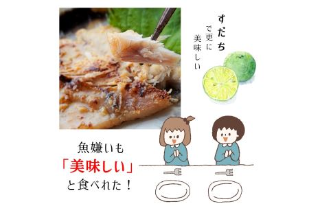 海の贈り物 季節のソフト干物 盛り合わせ