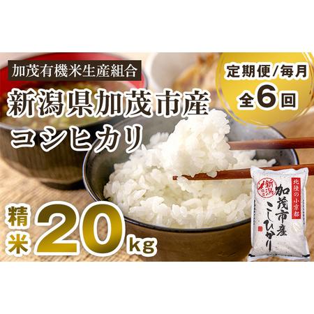 ふるさと納税 新潟県加茂市産コシヒカリ 精米20kg（5kg×4）白米 加茂有機米生産組合 定期便 定期購入 定期 コシ.. 新潟県加茂市