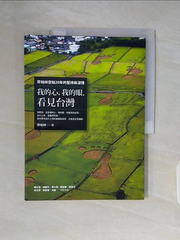 【書寶二手書T8／攝影_ZWM】我的心，我的眼，看見台灣_齊柏林