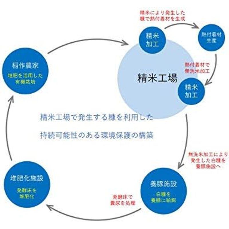 精米 新潟県産 無洗米 コシヒカリ 5kg 令和4年産