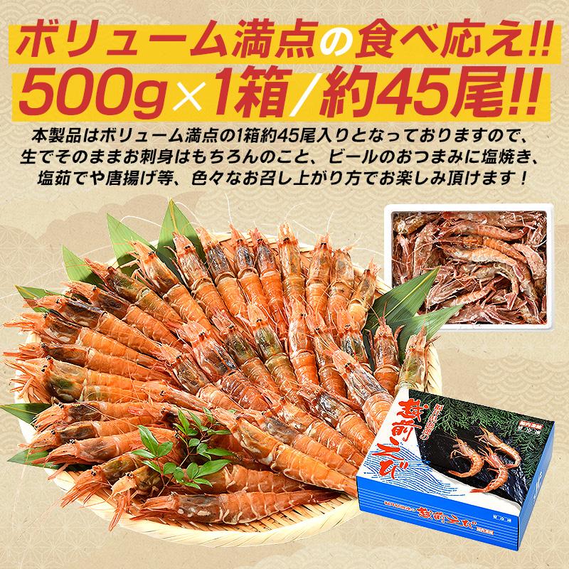 ガラエビ がらえび がらエビ 500g ガマエビ ガサエビ モサエビ 刺身 越前産 福井県 お歳暮 ギフト