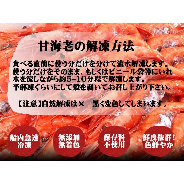 日本海産 天然甘海老 約500g 船内冷凍無添加 28-35尾前後入 無着色お刺身用5〜8人前とれたて新鮮　船内生冷凍甘海老