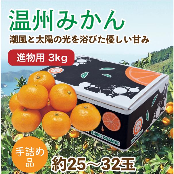 みかん 温州みかん 3kg 進物用 手詰め品 約25~32玉 愛媛県産みかん 産地直送 送料無料 お歳暮 2023 お歳暮2023 ギフト グルメ