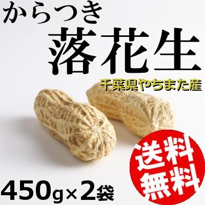 落花生 2袋 からつき 八街 千葉県 国産 送料無料 贈答品 お取り寄せ