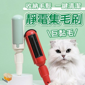 【台灣現貨】靜電集毛刷 除毛 除毛刷 衣物除塵刷 除塵刷 除塵 寵物黏毛屑 集毛刷 寵物刷毛神器 家用黏毛屑 寵物粘毛刷
