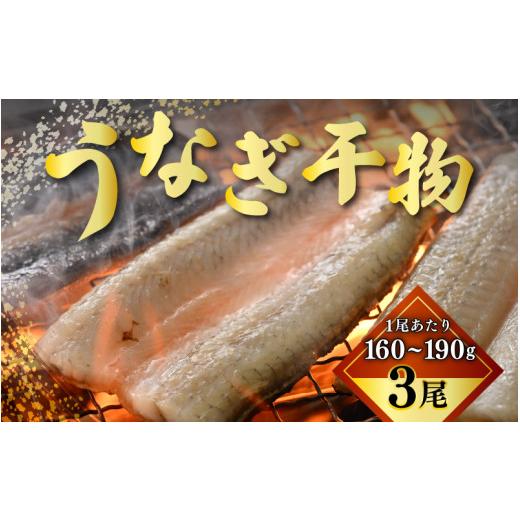 ふるさと納税 福井県 美浜町 [m61-d001] 国産 うなぎ 干物 約160〜190g × 3尾 (計約480〜570g) 鰻漁師が厳選！ 皮はパリッ！ 身はジューシー！ グリルで調理…