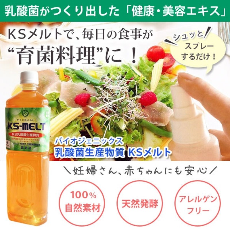 KSメルト ケイエスメルト 1000mL KS乳酸菌生産物質 - その他