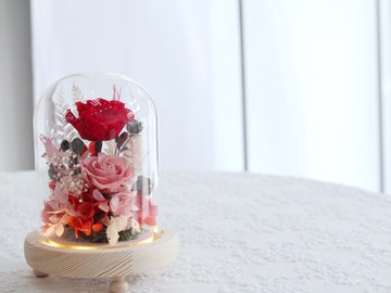 Fl188-06夢幻永生花系列-紅粉色