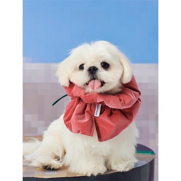 LazyEazy伊麗莎白圈柔軟充棉圍脖貓咪狗狗衣服絕育防護項圈可愛