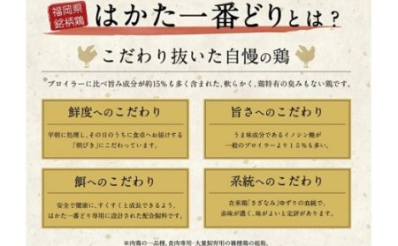 鶏家とり鍋セット2～3人前　（ふるさと納税限定セット）　㈱匠家