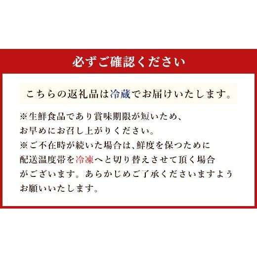 ふるさと納税 福岡県 嘉麻市 赤崎牛 サーロイン ステーキ 約200g 牛肉