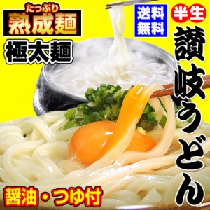 20時間熟成  半生 讃岐うどん 極太麺 つゆ付きセット  750g 送料無料 最安値挑戦 お取り寄せ お試し