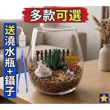 🔥台灣現貨🔥十二之卷多肉植物生態瓶 景觀瓶微景觀生態瓶生態瓶玻璃瓶辦公室小物小盆栽生日禮物聖誕節禮物手做diy(套裝組)