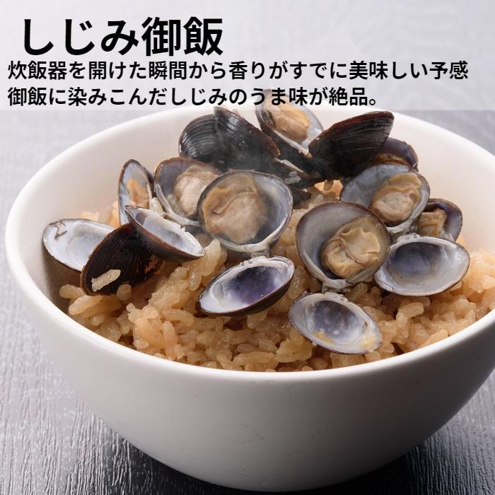 冷凍 しじみ 送料無料 砂抜き済み 特大粒 2Lサイズ 2700g（900ｇ×３）味噌汁 漁師直送 島根県 宍道湖産 大和しじみ ギフト オルニチン 亜鉛 レシピ付き