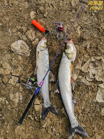 【微物泛用套裝】路亞竿套裝 路亞竿 水滴輪 紡車輪 槍柄竿 直柄竿 滑漂竿 微物竿 全富士導環 高碳素材質 便攜套裝 新手進階適用