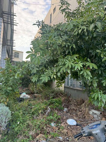 *專任*正三豐路建地｜台中市豐原區北天段