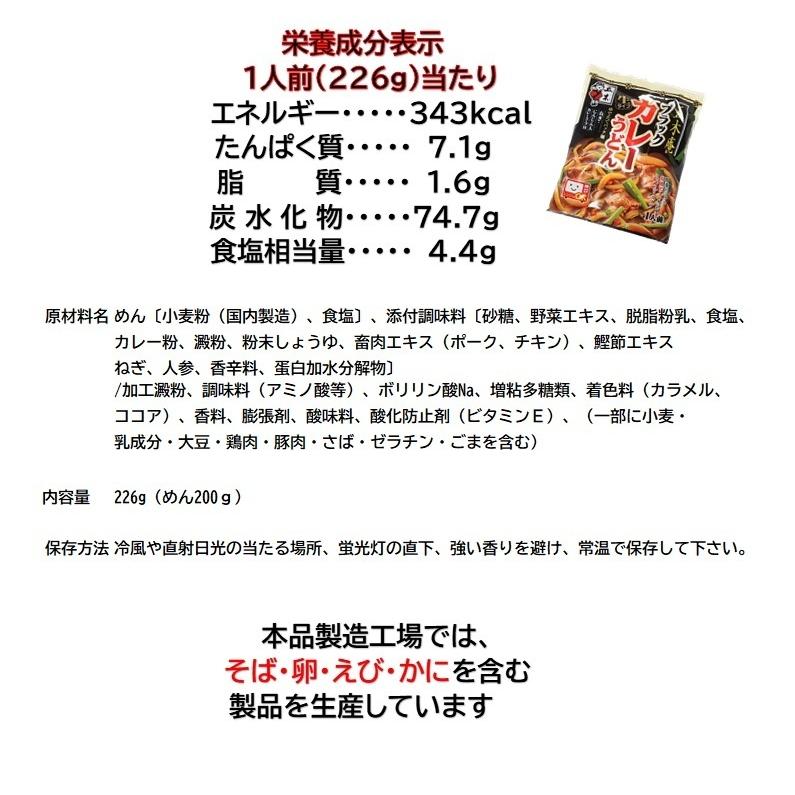 ブラックカレーうどん　五木庵　2袋2食分　ゆでたてパック麺　九州　熊本　スパイシースープ  カレーうどん  うどん  カレー