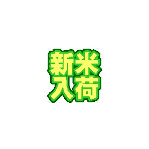 令和５年産新米 送料無料 5kg 九州 宮崎県産「コシヒカリ」5kg×1個 無洗米