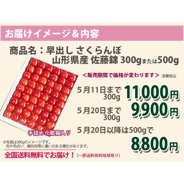 さくらんぼ 父の日 お中元 佐藤錦 ギフト プレゼント 早出し　さくらんぼ 佐藤錦　手詰め 300g　4月30日まで 1kg 500g ばら詰め 山形産 農産物