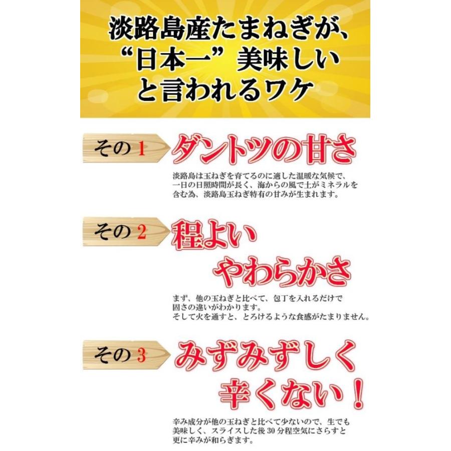 淡路島産 たまねぎ10kg 甘さに自信!!ほんまもん淡路島より発送!!