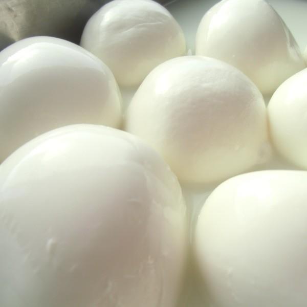 北海道産 モッツァレラ ディ ブーファラ チーズ 手作り 100g 冷蔵