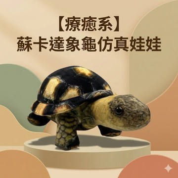 陸龜驛站｜陸龜 仿真娃娃玩偶 絨毛玩具 陸龜烏龜娃娃造型公仔  擺飾抱枕 烏龜周邊配件 生日聖誕禮物