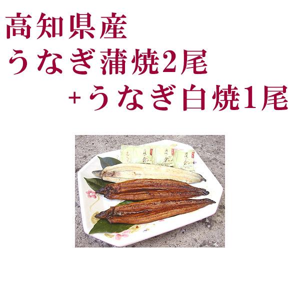 高知県産　うなぎ蒲焼2尾と白焼1尾セット  四万十 高知 冷凍 国産 無添加 ウナギ 鰻