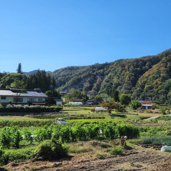 販売期間2023 12 31まで 野菜 セット・詰め合わせ 信州　冬野菜セット　10品目 産地直送