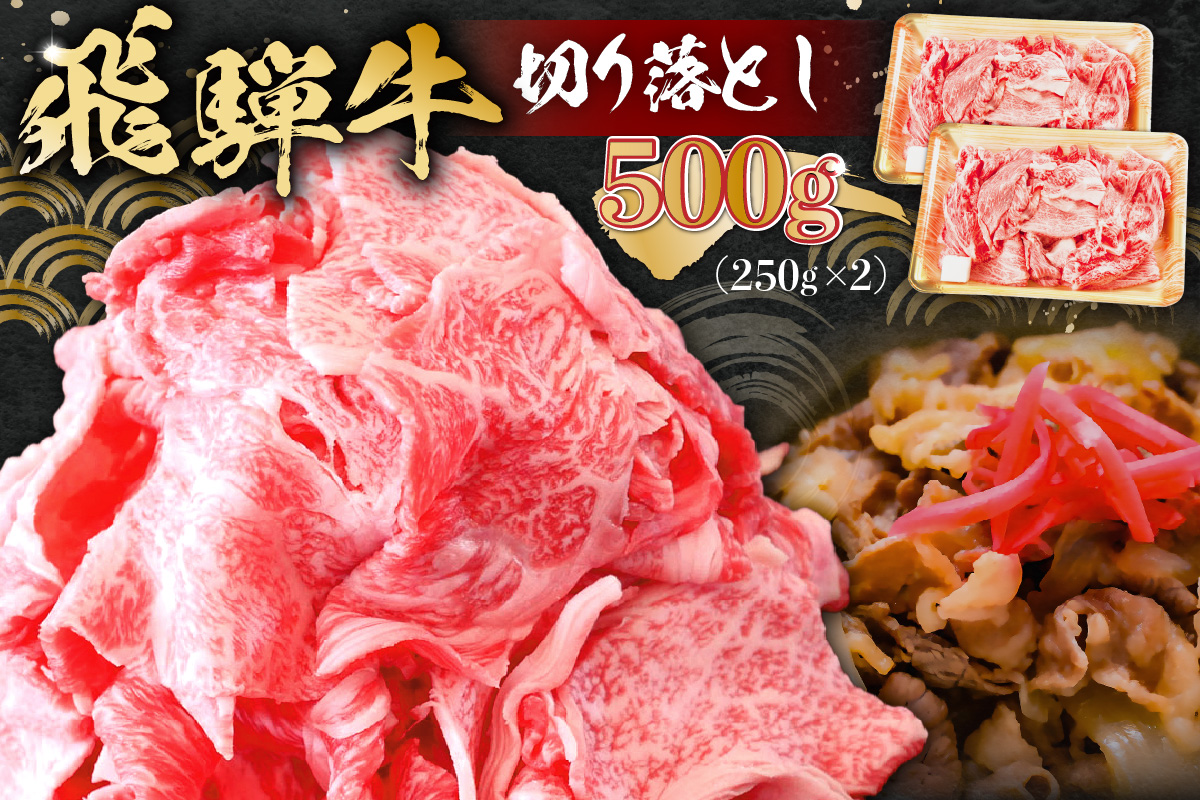 飛騨牛切り落とし500ｇ（250ｇ×2）