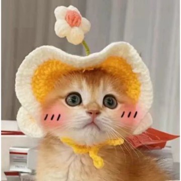 【寵愛毛宅】 花花帽子 寵物帽子 貓咪帽子 貓咪造型帽 貓咪拍照神器