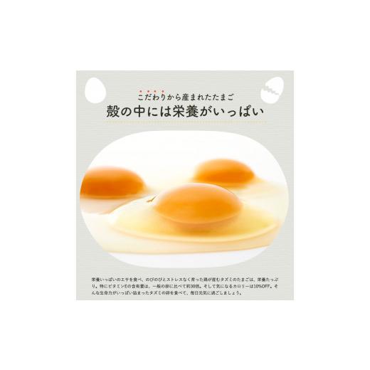 ふるさと納税 兵庫県 市川町 008AB01N.タズミの卵Ｍサイズ（30個）