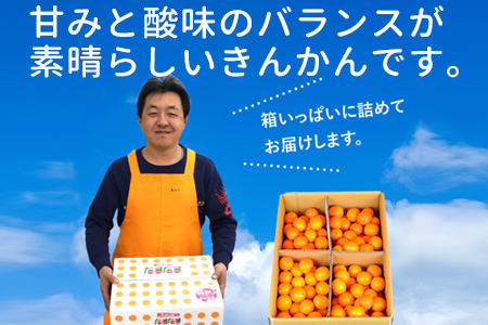 ＜“厳選”完熟きんかん「たまたま」2L×3kg 1箱＞2024年2月上旬～2月下旬迄に順次出荷