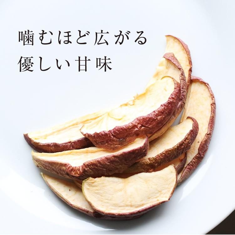 ドライフルーツ 砂糖不使用 無添加 国産 りんご 45g 送料無料 ドライりんご リンゴ 長野 お菓子 おやつ ヨーグルト プチギフト お歳暮