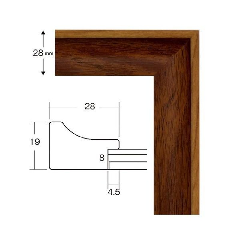 絵画 | 軽量水彩額縁/フレーム (F4号/ブラウン) 壁掛けひも/UV(紫外線